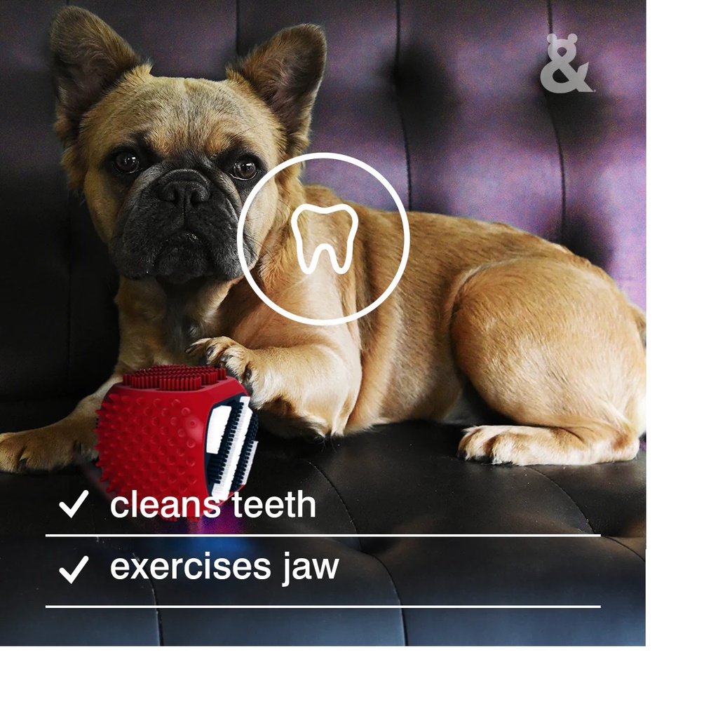 Rufus & Coco Clean & Chew Dental Toy