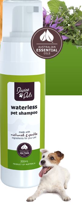 Divine Pets Waterless Pet Shampoo 200ml