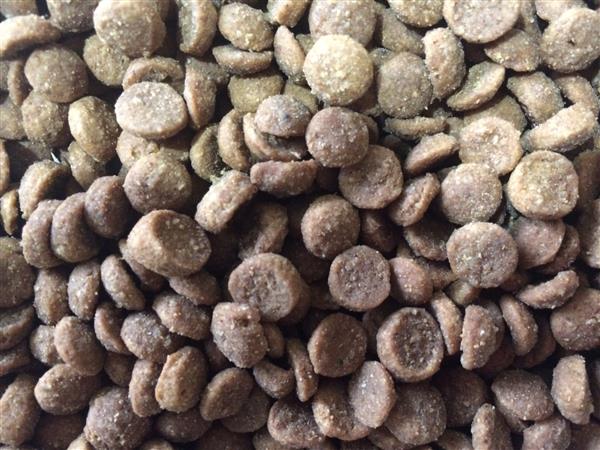 Kitty Kibble 1kg